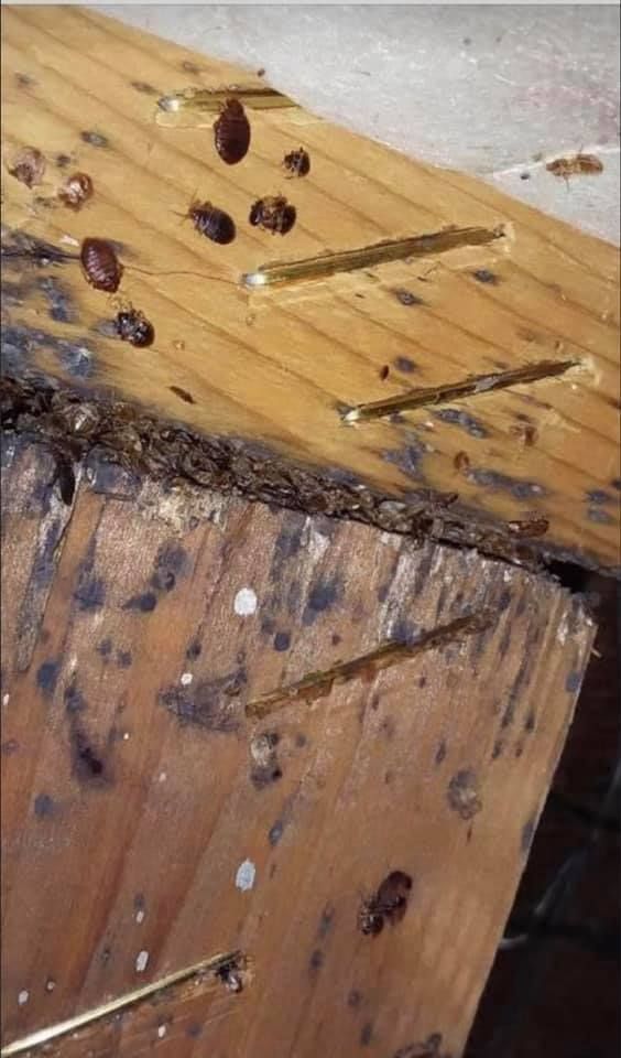 Close work along a baseboard and cabinet line